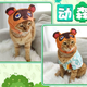 Illustrations of an article entitled I'm Sorry, My Cat, But You Will Soon Be Tom Nook